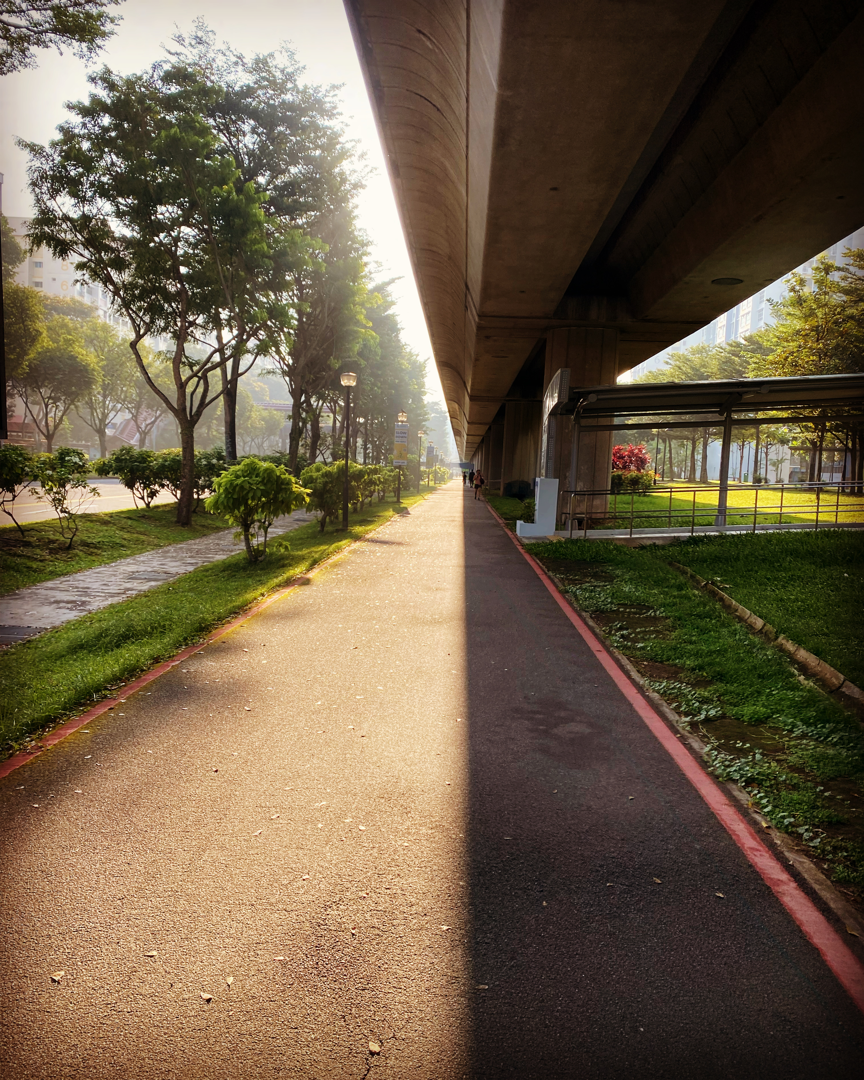 Light & Shadow Media Studio